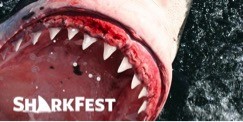sharkfest ad