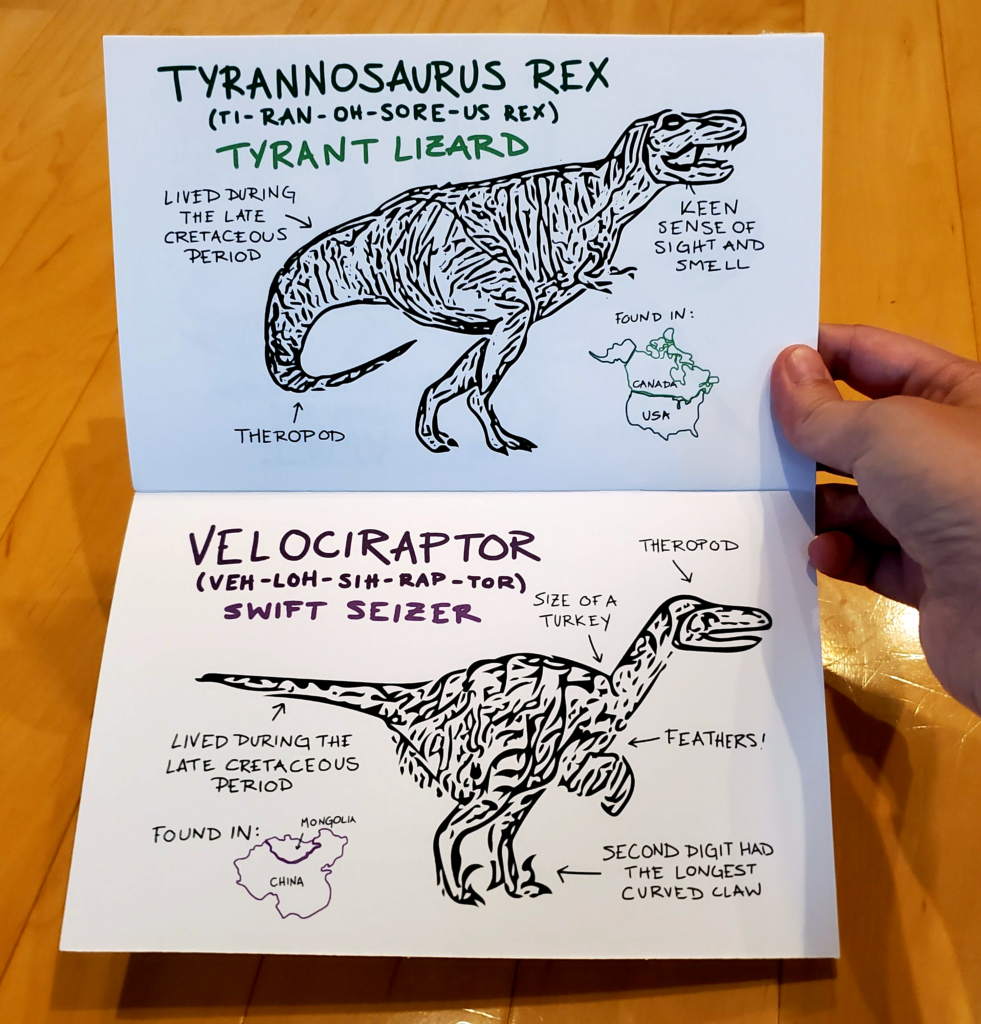Drawings and information about Tyrannosaurus Rex and Velociraptor