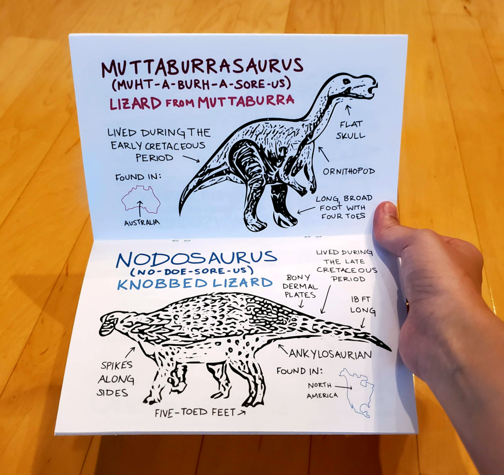 Drawings and information about Muttaburrasaurus and Nodosaurus