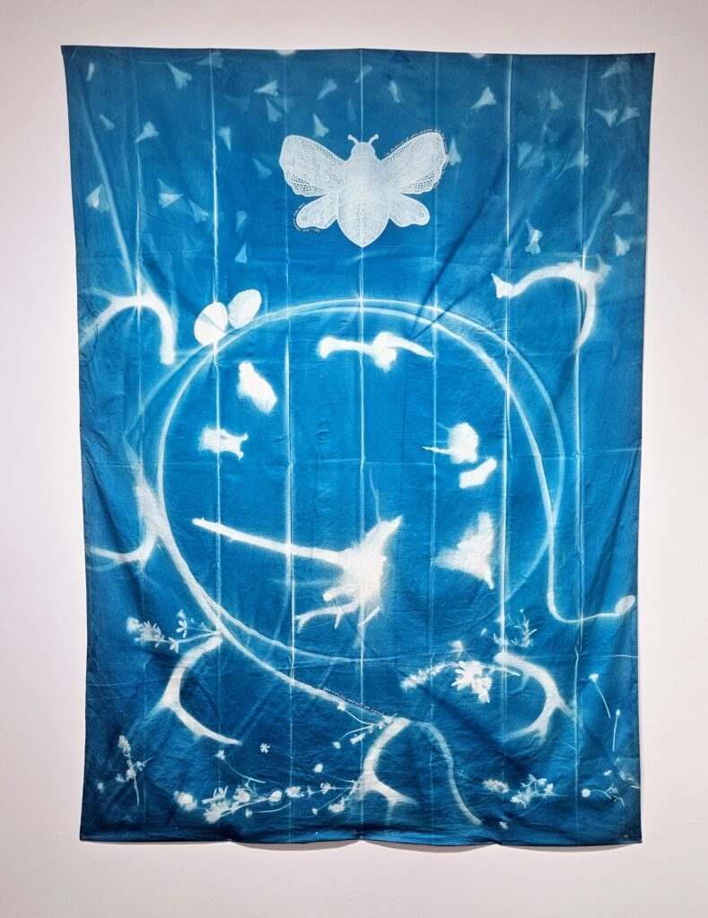 Large cyanotype print on fabric with natural elements, taken during the eclipse.
